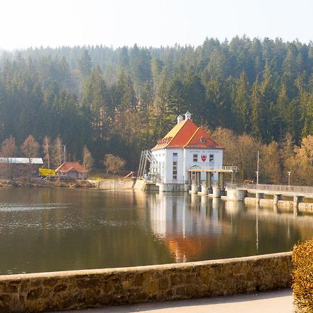 וייכטאך Ferienhaus Nr 6, Typ A, Feriendorf Jaegerpark, Bayerischer Wald מראה חיצוני תמונה
